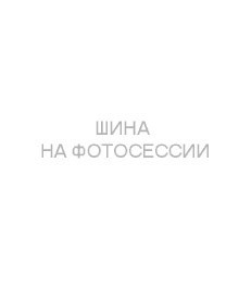 Шины TUNGA 175/70/13 Q 82 NORDWAY 3 Ш. Шины TUNGA 175/70/13 Q 82 NORDWAY 3 Ш.
