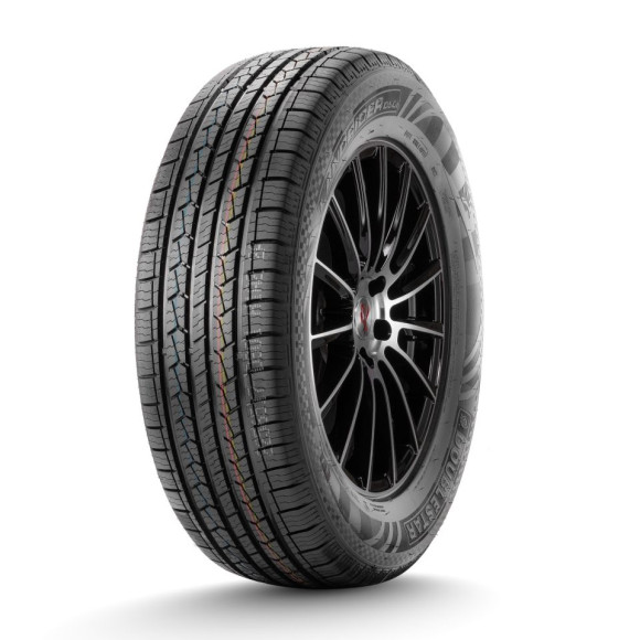Шины DoubleStar 215/60/17 H 100 DS01 XL Шины DoubleStar 215/60/17 H 100 DS01 XL